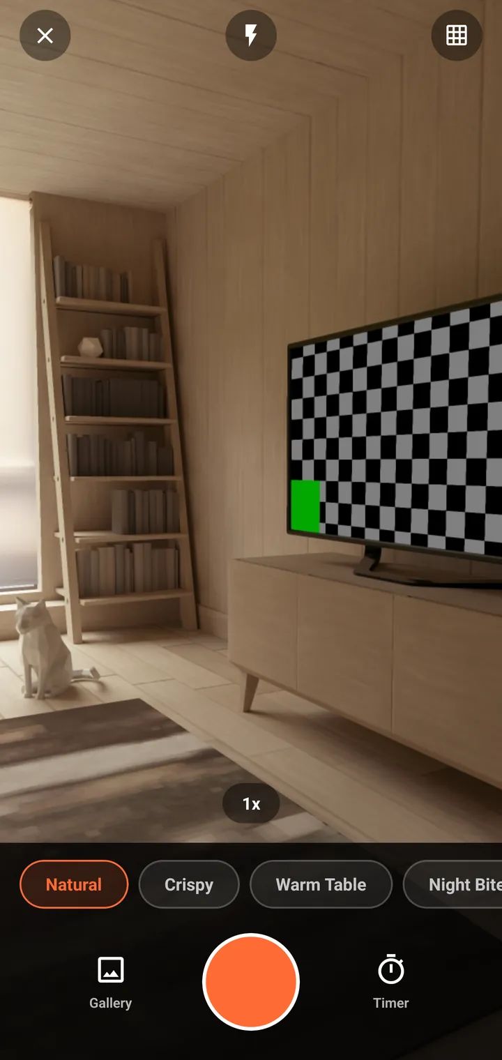 The Plaum camera